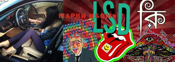мяу мяу мука Аркадак