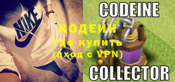 прущие грибы Арсеньев