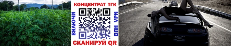 ТГК Wax  купить  сайты  Октябрьск 